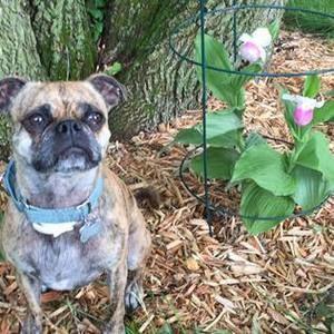 Meet your Posher, Jodi